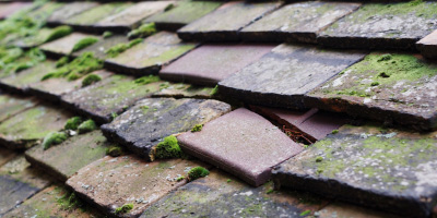 Sutton Bassett roof repair costs
